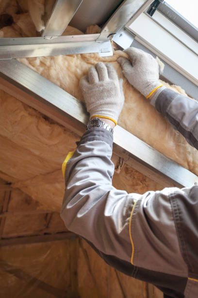 Types of Insulation We Offer in Hill N Dale, FL